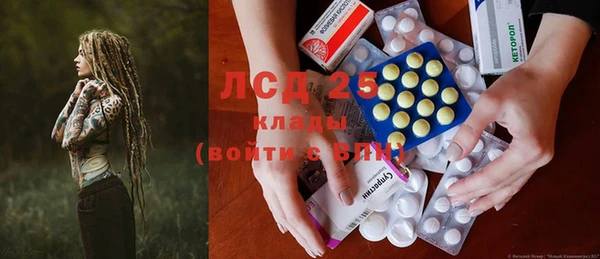 ПСИЛОЦИБИНОВЫЕ ГРИБЫ Осинники