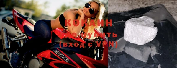 индика Армянск