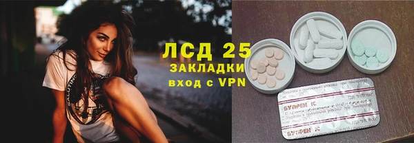 дмт Аркадак