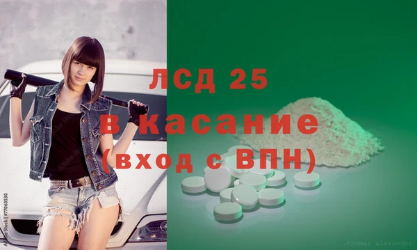прущие грибы Арсеньев