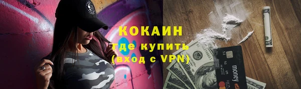 индика Армянск