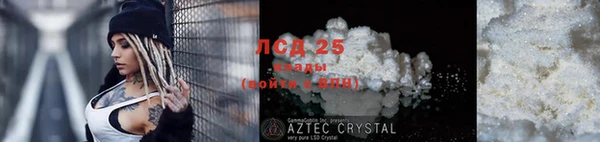 прущие грибы Арсеньев