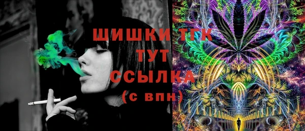 дмт Аркадак